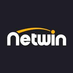 Netwin logo